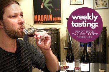 Can you Taste Terroir? Wine Tasting Like a Pro With Marc Supsic