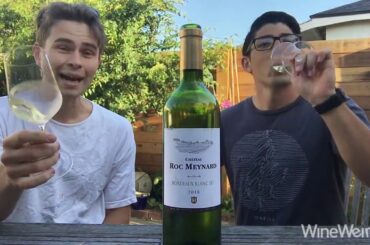 2018 Chateau Roc Meynard Bordeaux Blanc JP Bourgeois Imports French White Wine