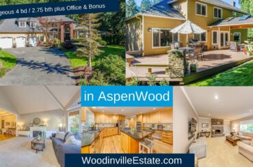 Tony Meier & Team, Windermere/NE Presents: 19614 222nd Ave NE, Woodinville