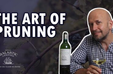 The Art of Pruning, Ep. 31, Le Grand Voyage