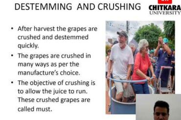 Production Process of White wines by Siddharth Bedi