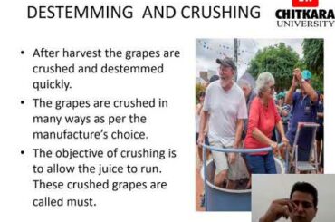 Production Process of Red wines by Siddharth Bedi