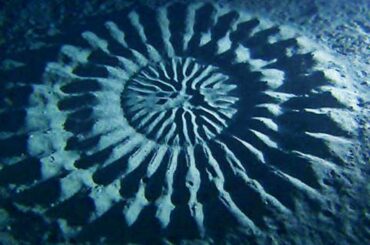 15 Terrifying Objects Found in The Ocean