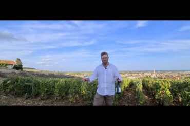 The French Wine Centre - France 2020 - Update 7