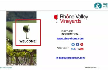 Discover the Rhône Valley with Linda Field DipWSET