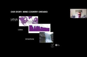 VQA Gamay Noir 1.0: Educational Webinar Featuring Wines from the LCBO