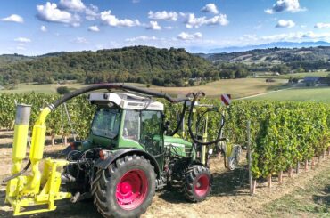 Effeuillage et Vendange à la main au domaine Cauhapé ! Béarn | Jurançon