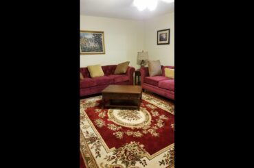 Review: Pastoral Medallion Black French European Formal Traditional 8x11 8x10 (7'10" x 10'6") A...