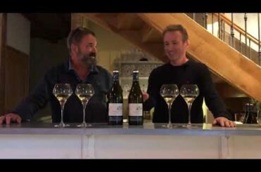 Tasting of Domaine Cary Potet Montagny 1er Cru