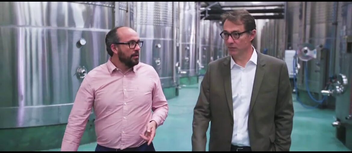 B&G Winegrowers in Provence