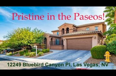 12249 Bluebird Canyon Pl, Las Vegas, NV 89138