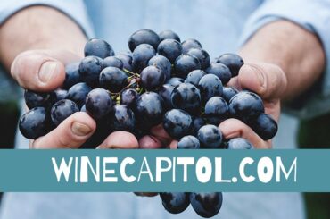 CRAPPY WINE? NO! NOT ANYMORE? THE SECRET IS HERE