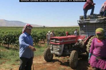 WINE and WAR FULL MOVIE [DOCUMENTARY] 2020 HD - Michael Broadbent, Elizabeth Gilbert