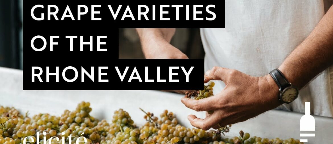 The Different Grape Varieties And Styles Of The Rhone Valley Wine Region The Different Grape Varieties And Styles Of The Rhone Valley Wine Region