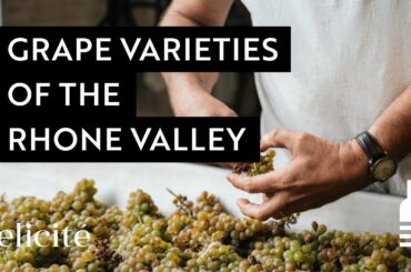 The Different Grape Varieties And Styles Of The Rhone Valley Wine Region