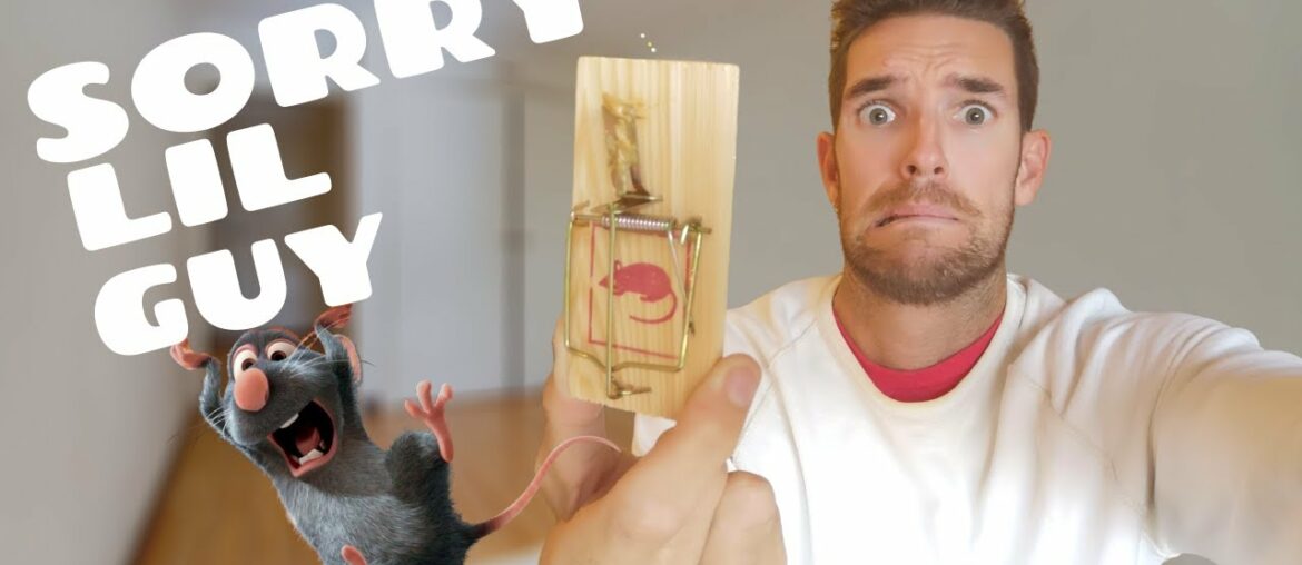 FIRST WORLD french PROBLEMS: MICE INVASION SITUATION & Roland Garros Tickets Cancelled due to Covid