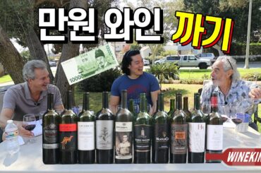 Tasting of easy-to-find cheap wines