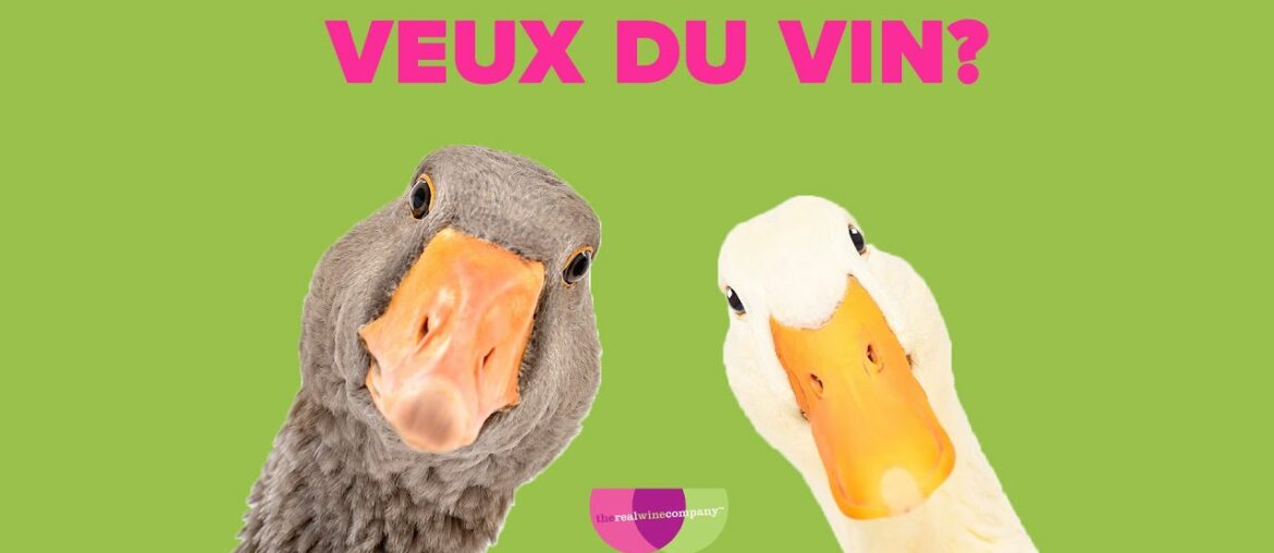 Meet Laffitte | Real Wine Chat