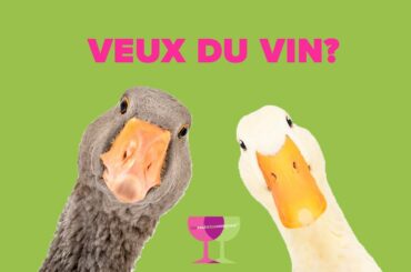 Meet Laffitte | Real Wine Chat