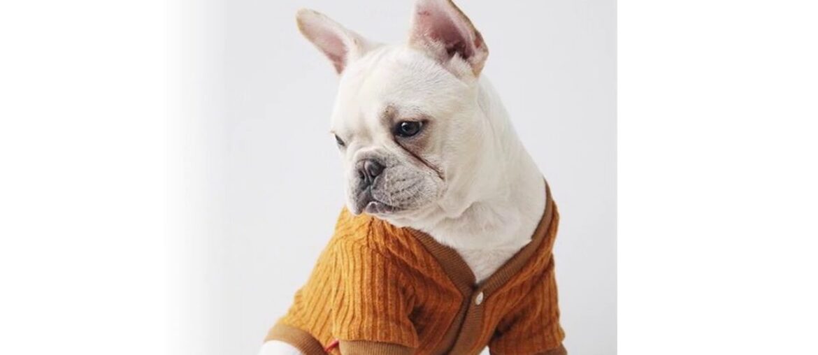 Top Knitted Dog Coat Winter V-neck Pet Clothes For French Bulldog Cardigan Knitwear Sweater Jacket