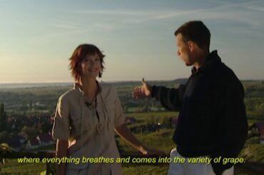 Famously French: Winemaker Albert Seltz