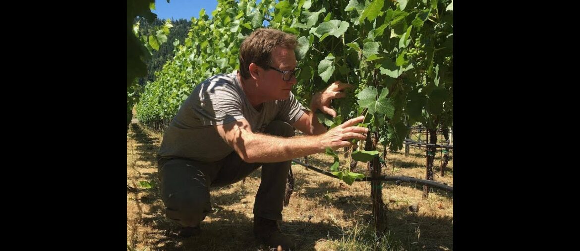 Good People Make Better Wine: Episode 14: Doug Stewart Good People Make Better Wine: Episode 14: Doug Stewart