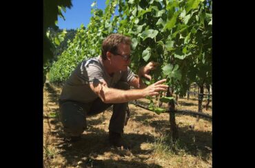 Good People Make Better Wine: Episode 14: Doug Stewart