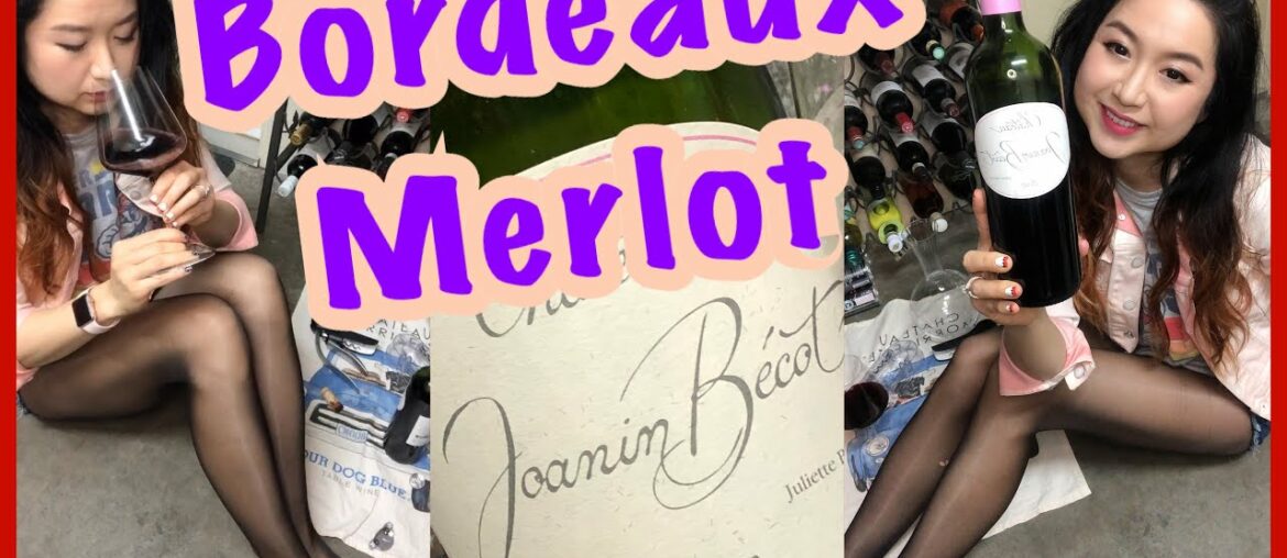 Bordeaux Red - 2010 Chateau Joanin Becot - Wine Tasting in Pantyhose