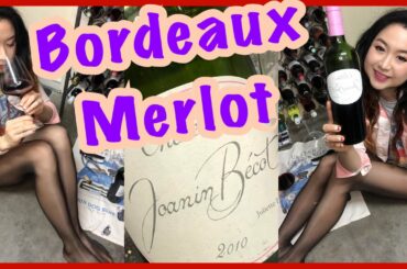 Bordeaux Red - 2010 Chateau Joanin Becot - Wine Tasting in Pantyhose