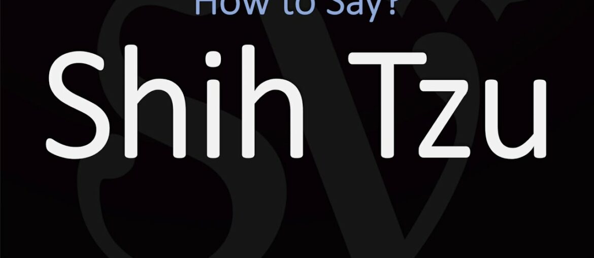 How to Pronounce Shih Tzu Dog? (CORRECTLY) How to Pronounce Shih Tzu Dog? (CORRECTLY)