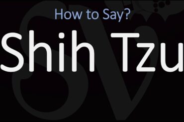 How to Pronounce Shih Tzu Dog? (CORRECTLY)