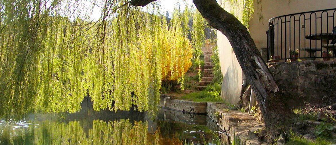 Relaxing Afternoon in a French Countryside Town - Birdsong - Ambience - Calming White Noise