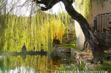 Relaxing Afternoon in a French Countryside Town - Birdsong - Ambience - Calming White Noise