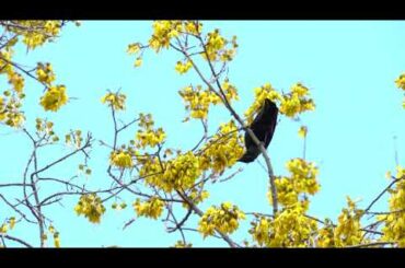 24 Melrose Avenue | FOR SALE | Katrina Flavell, Viprealty