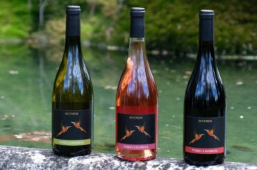 Introduction to Terre des 2 Sources