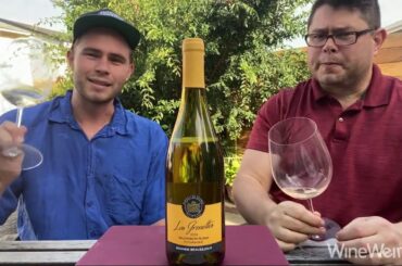 2018 Domaine Beausejour Les Grenettes Sauvignon Blanc Touraine France White Wine