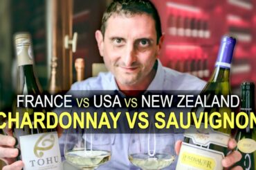 Understanding Wine Styles? | Chardonnay vs Sauvignon Blanc