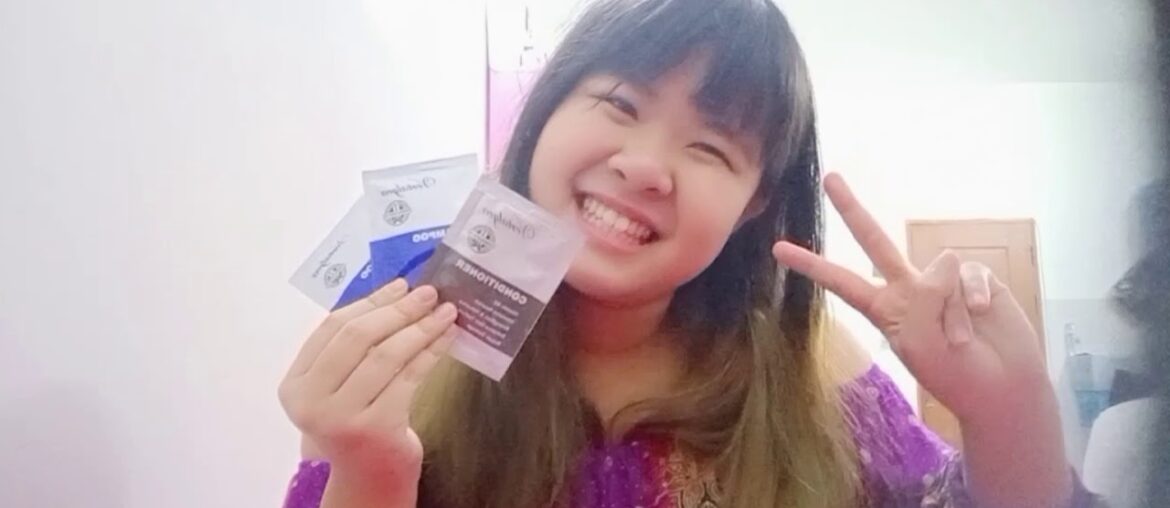 Crands crus classés french wine collection 2020