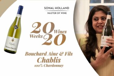 20 Amazing Wines to Drink in 2020 - Ep 11 | Bouchard Aine & Fils Chablis | Sonal Holland MW
