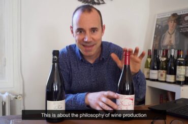 Organic and natural wines