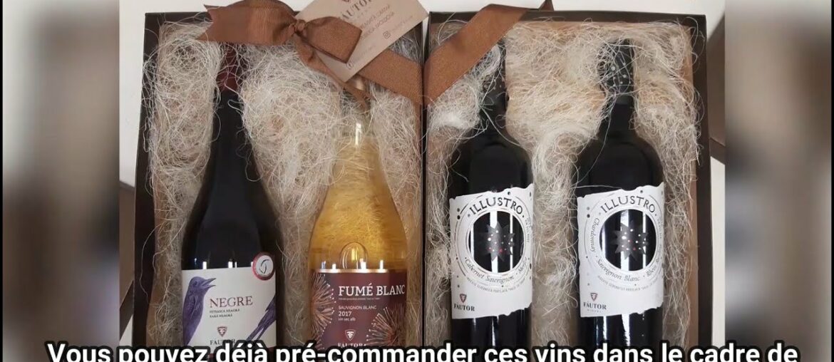 YourWineShop.ch French Become a wine creator Fautor – Crowdfunding WeMakeIt Let's start it together! YourWineShop.ch French Become a wine creator Fautor - Crowdfunding WeMakeIt Let's start it together!