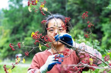 【乡野莲姐】Hand-brewed wild fruit wine|摘野果“霜糖子”釀水果酒，壹個月後，我終於嘗到了這杯美酒
