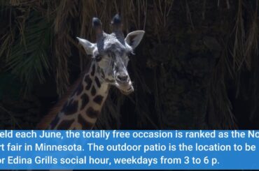 Our Hotel Los Patios - Home Statements