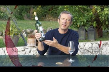 Château Haut Pougnan 2019 (white) . Bordeaux, France