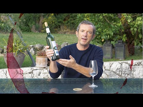 Château Haut Pougnan 2019 (white) . Bordeaux, France Château Haut Pougnan 2019 (white) . Bordeaux, France