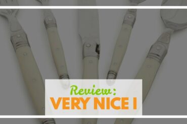 Review: French Home 20 Piece Laguiole Flatware set in Faux Ivory