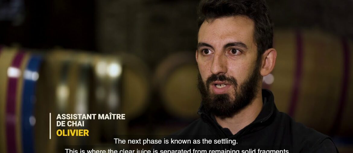 La Minute Chanzy: LE PRESSURAGE - WINE PRESSING