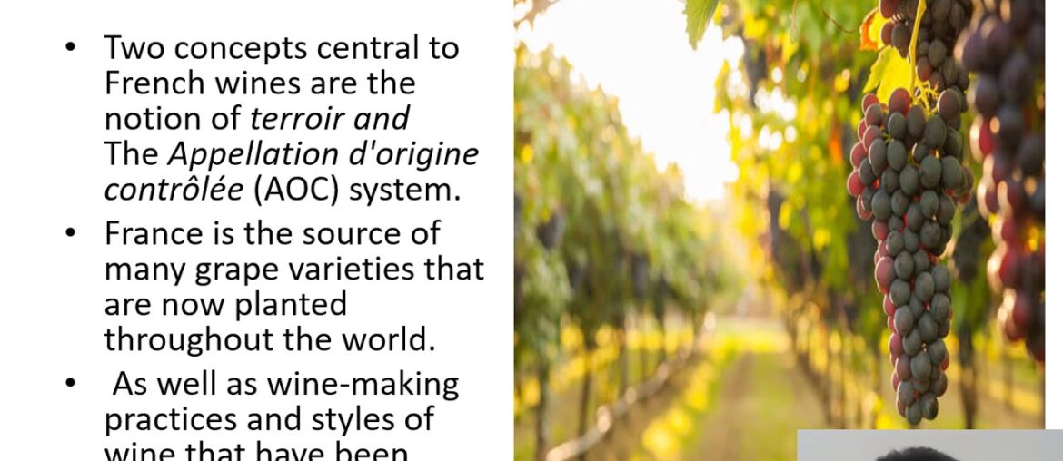 French Wines by Siddharth Bedi