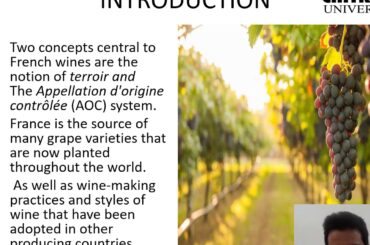 French Wines by Siddharth Bedi