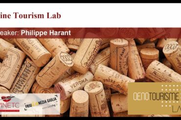 IWINETC 2020 - FVG: Wine Tourism Lab